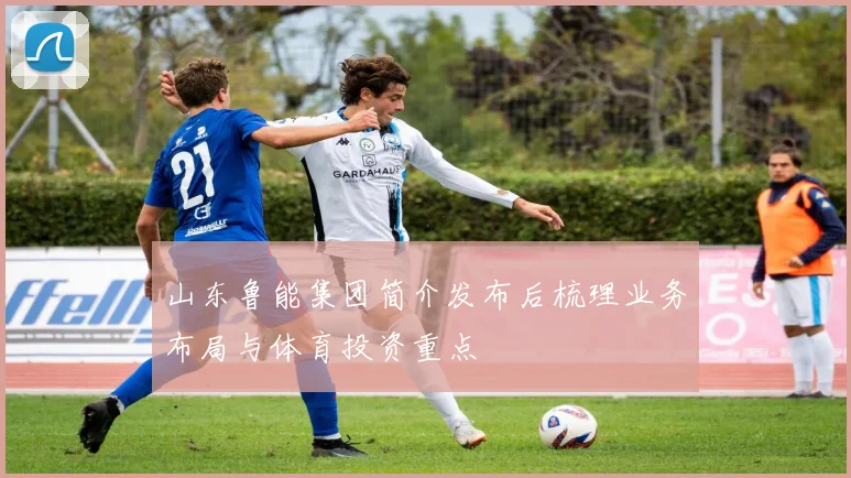 山东鲁能集团简介发布后梳理业务布局与体育投资重点