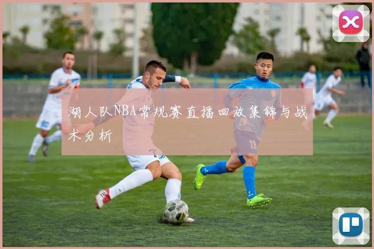 湖人队NBA常规赛直播回放集锦与战术分析