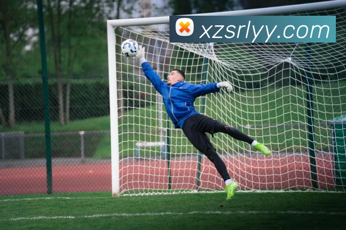 爱体育电子官网首页APP 高清赛事图